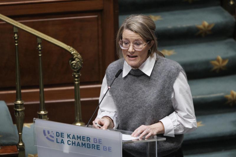 <p>Anneleen Van Bossuyt bei einer Rede in der Kammer</p>