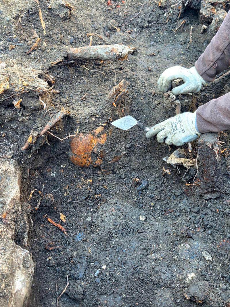 <p>Ein beschädigter Schädel lugt aus der Erde hervor, umgeben von Baumwurzelresten.</p>