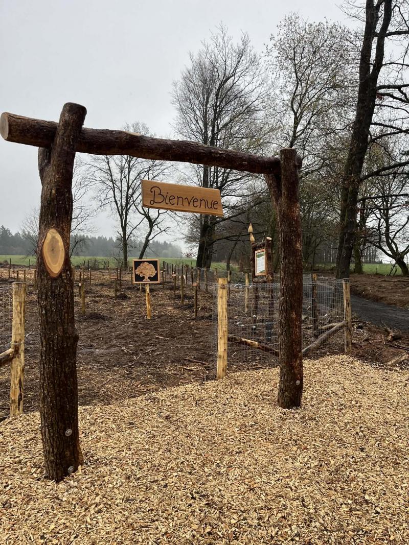 <p>Der „Wald der Geburten“ entsteht auf einem gemeindeeigenen Grundstück zwischen Rogery und Cierreux</p>