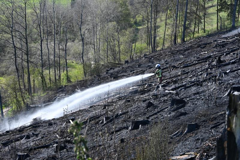<p>Über 30 Einsatzkräfte waren im Einsatz.</p>
