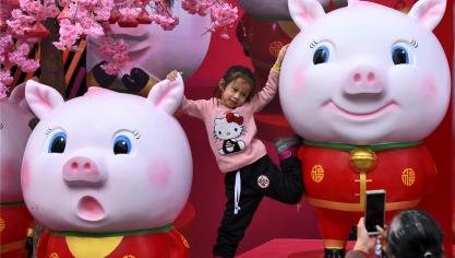 <p>In der Nacht zum Dienstag beginnt in China das „Jahr des Schweines“</p>