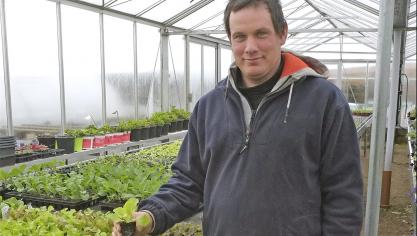 <p>Noch sind die Salatpflänzchen klein, aber das wird sich bald ändern: Michael Theis im Treibhaus seines Gartencenters in Crombach.</p>