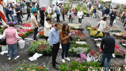 <p>Blumenmarkt Eupen</p>
