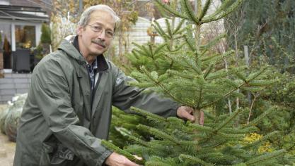 <p>Jozef Kleikers hat im Laufe der letzten 47 Jahre, in denen er Weihnachtsbäume schlug und verkaufte, ein gutes Auge bei der Auswahl der Tannen entwickelt.</p>