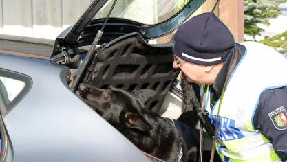 <p>Bei der gemeinsamen Kontrollaktion von Bundespolizei und Polizeizone Eifel kam eine Spürhündin zum Einsatz.</p>