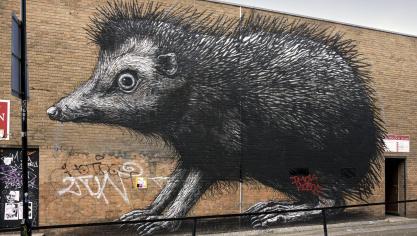 <p>Dieser riesige Stacheligel hat ROA in London auf eine Mauer gesprayt.</p>