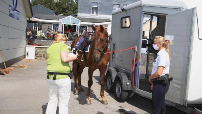 <p>Gäste gehen gerne auf Tuchfühlung mit den Pferden, die mit zur öffentlichen Sicherheit beitragen.</p>