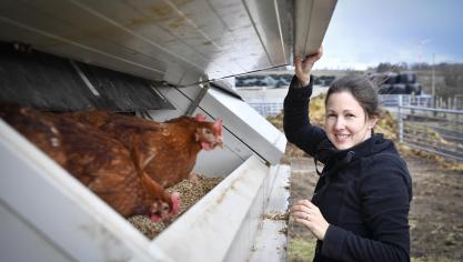 <p>199 Hühner finden in dem zweigeschossigen Mobil Platz. Normalerweise können sie über die offenen Klappen ins Freiland. Das ist derzeit wegen der Vogelgrippe nicht möglich.</p>