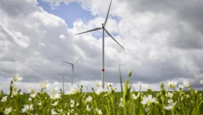 <p>Die Erweiterung des bestehenden Windparks Emmelser Heide um vier Windkraftanlagen sorgt in der Gemeinde St.Vith für viel Gesprächsstoff. Im Fokus stehen dabei vor allem die in Aussicht gestellte Kapital- und Bürgerbeteiligung.</p>