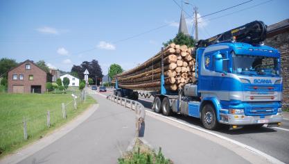 <p>Die Gemeinde Vielsalm würde es gerne sehen, dass die Zufahrtsstraßen zum Holzindustriepark (hier die N675 in Petit-Thier) in den Zuständigkeitsbereich der Sofico wechseln.</p>