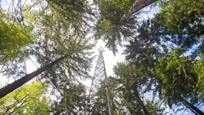 <p>Der Mast unweit von Poteau ist 50 Meter hoch.</p>