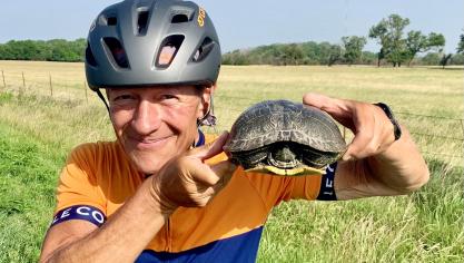 <p>Einige Schildkröten hat der 60-Jährige von der Straße gerettet.</p>