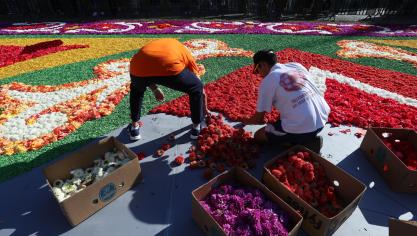 <p>Rund 400.000 Blumen arrangierten die Blumenkünstler auf dem Kopfsteinpflaster.</p>