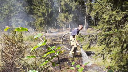 <p>Illegales Lagerfeuer im Elsenborner Staatswald verursacht großflächigen Brand</p>
