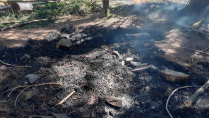 <p>Illegales Lagerfeuer im Elsenborner Staatswald verursacht großflächigen Brand</p>
