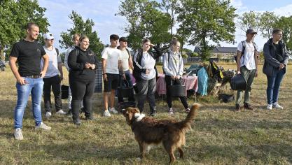 <p>Auch Schüler des RSI beteiligten sich an der Weinlese.</p>