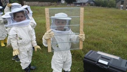 <p>Die Schulkinder lernen den gesamten Jahreskreislauf der Arbeit mit Bienen kennen.</p>