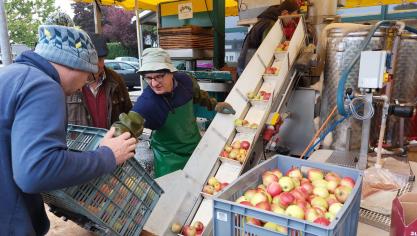 <p>[Video] Obstpresse in Eynatten: Die „Sonne“ macht aus Äpfeln flüssiges Gold</p>
