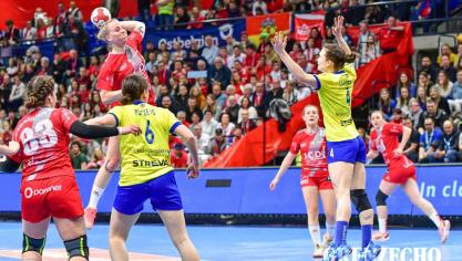 <p>Handball Pokalfinale</p>
