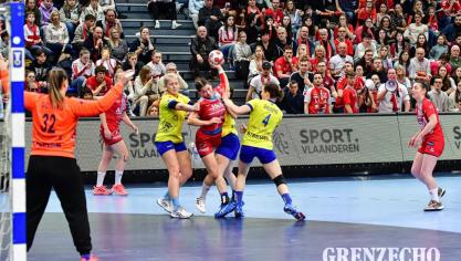 <p>Handball Pokalfinale</p>

