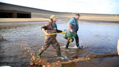 <p>Zu zweit tragen die Fischer den Karpfen aus dem Oberbecken.</p>