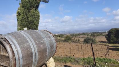 <p>Prämiertes Weingut lockt ins geschichtsträchtige Languedoc</p>
