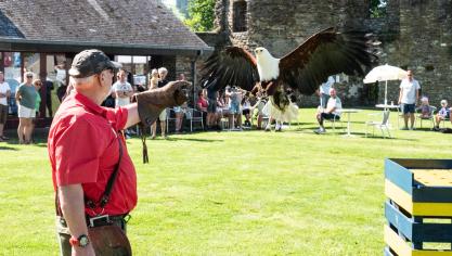 <p>Ein Blickfang war die Vorführung der Greifvogelstation des Wildfreigeheges Hellenthal auf der Burg in Reuland.</p>