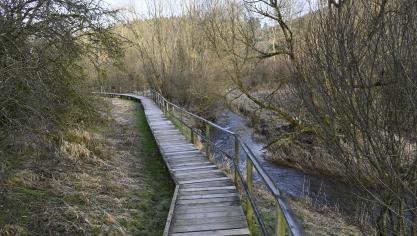 <p>Der Wanderweg rund um den Bütgenbacher See führt auf einigen Teilstücken über Holzstege. Sie sollen erneuert werden bzw. werden zum Teil durch befestigte Wege ersetzt.</p>
