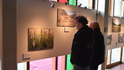 <p>Schützenswerte Arten und Naturschutzgebieten werden im Rahmen der Ausstellung beleuchtet.</p>