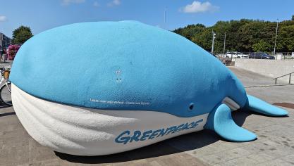 <p>Greenpeace stellt in Bredene eine sechs Meter lange Blauwalskulptur auf – als Warnung vor den Folgen des Tiefseebergbaus.</p>