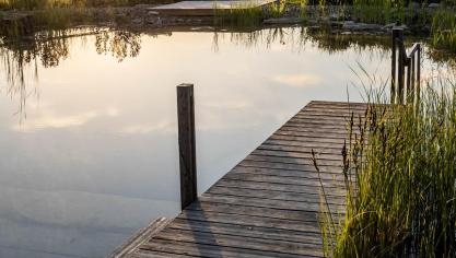 <p>Gartenbau Leufgen erneut ausgezeichnet – 2. Platz beim TASPO Award 2025 für das Projekt „Nahtlos Natur“</p>