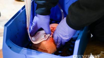 <p>Multidisziplinäre Übung der Eifelpolizei in Worriken</p>
