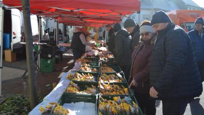 <p>Katharinenmarkt: Händler und Besucher strahlen mit der Sonne um die Wette</p>
