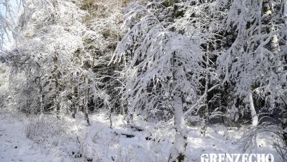 <p>Ausflug ins Hohe Venn</p>
