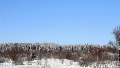 <p>Ausflug ins Hohe Venn</p>
