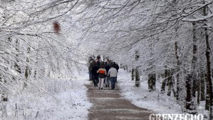 <p>Ausflug ins Hohe Venn</p>
