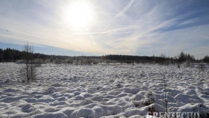 <p>Ausflug ins Hohe Venn</p>
