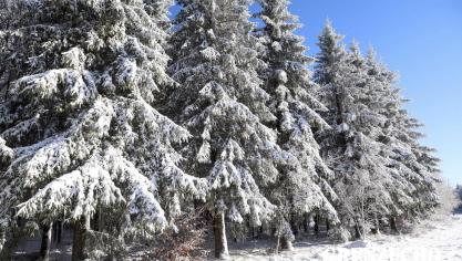 <p>Ausflug ins Hohe Venn</p>
