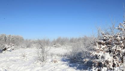 <p>Ausflug ins Hohe Venn</p>
