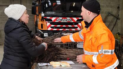 <p>Heckenpflanzen finden Abnehmer in Bütgenbach und Büllingen</p>