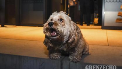 <p>Jeudredi Winterspecial</p>
