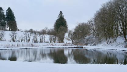 <p>Rodelspaß kehrt nach 15 Jahren an den Zosterbach in Nidrum zurück</p>
