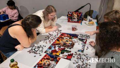 <p>Puzzle-Day in Oudler 2026</p>
