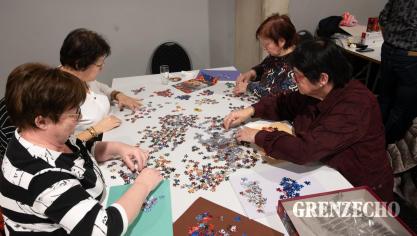 <p>Puzzle-Day in Oudler 2026</p>