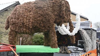 <p>Rosenmontagszug in Bütgenbach [Teil 3]</p>
