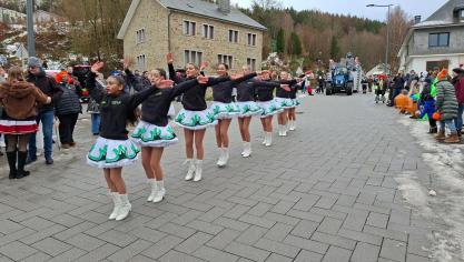 <p>Rosenmontagszug in Schönberg</p>
