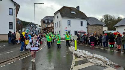 <p>Rosenmontagszug in Schönberg</p>
