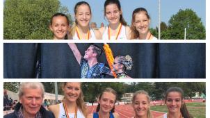 <p>Untitled collage(2)</p>