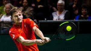 <p>David Goffin</p>
