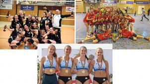 <p>Collage Mannschaften Damen Neu</p>